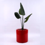Small Cylinder Fiberglass Planters | 40 x 33cm - Image 3
