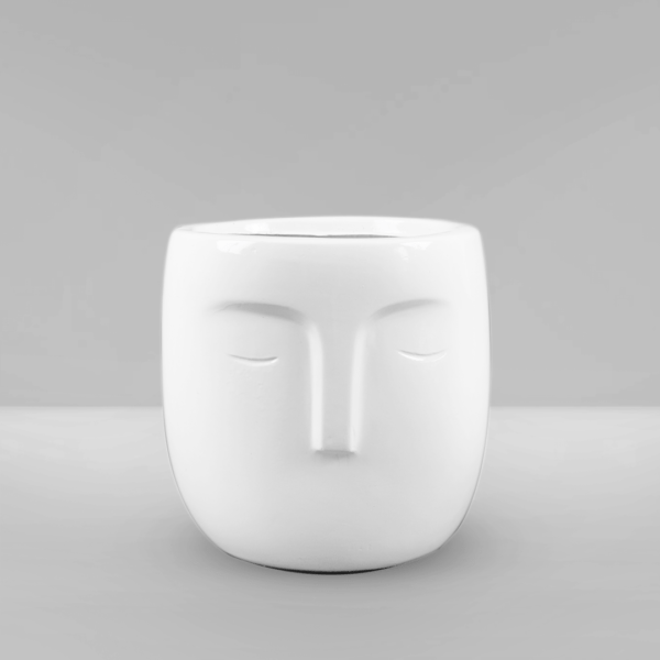 Face pot