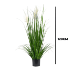 Artificial Reed Grass Plant | 120cm in height