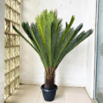 Artificial cycas plants