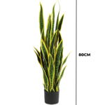 Artificial Snake Plant | 80cm In Height