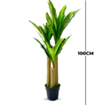 Artificial/Faux Dracaena Plants | 100cm in height