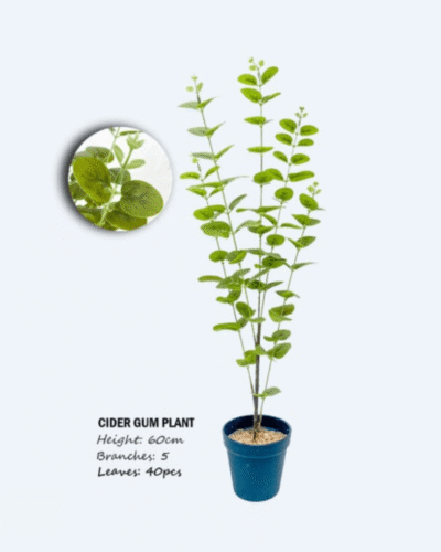 Artificial Plants