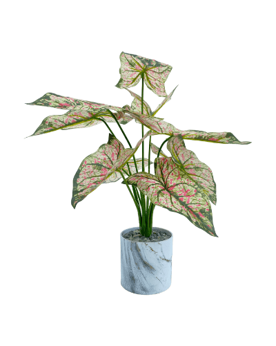 Caladium Artificial Plants