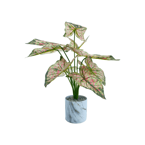 Caladium Artificial Plants