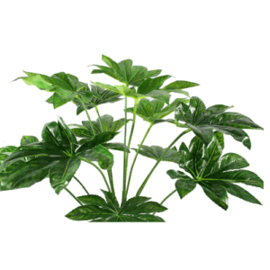 Japanese Fatsia Artificial Plants