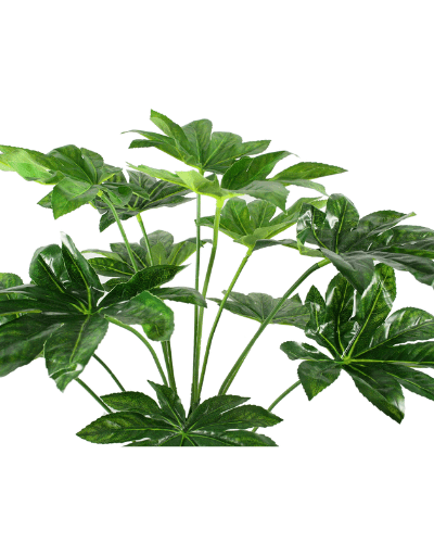 Japanese Fatsia Artificial Plants