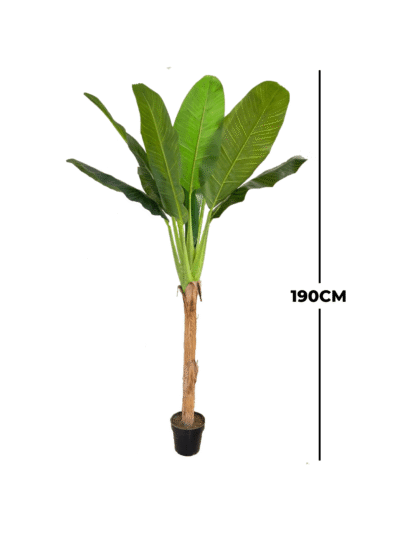 Faux Banana Plant (190cm in height )