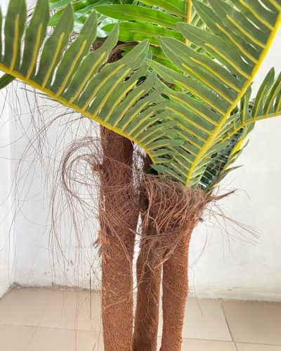 Artificial Palm Tree | 165cm in height