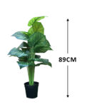 Zebra Artificial House Plant | 89cm in height