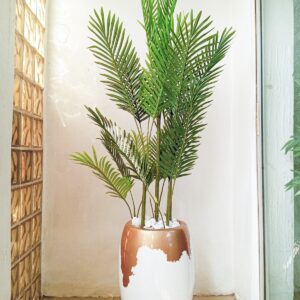 Sixt stems Palm Plants Potted With 60cm Classic Fiberglass Pot | 170cm height