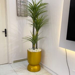 Yucca Plant Potted With 60cm Tumbler Fiberglass Planter | 180cm height