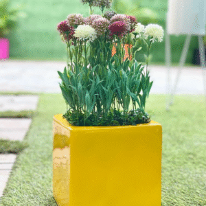 VINES FLOWERS POTTED WITH 20CM SQUARE FIBERGLASS POT