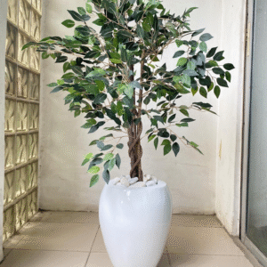 90cm Ficus Plants in 40cm Apple Fiberglass Pot – Compact Artificial Greenery for Indoor Use