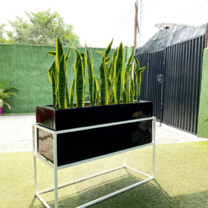 90cm Snake Plant in 100x40cm Trough Fiberglass Pot – Sleek, Vertical Green Accent for Modern Interiors