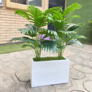 Mini Palm Plant Potted With 25cm x 40cm Trough Fiberglass Pot | 90cm height