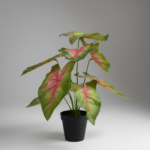 TABLETOP ARTIFICIAL PLANTS | FAUX CALADIUM PLANT| SHOP NOW