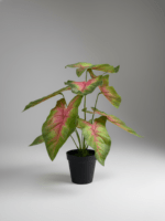 TABLETOP ARTIFICIAL PLANTS | FAUX CALADIUM PLANT| SHOP NOW