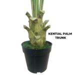 ARTIFICIAL KENTIA PALM TREES FOR INDOOR/OUTDOOR DECOR - Image 2