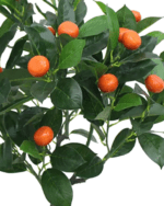 ARTIFICIAL ORANGE TREE PLANTS | NEARLY NATURAL PLANTS - Image 2