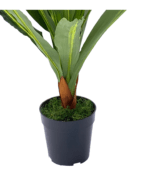 FAUX SINGLE DRACAENA PLANTS | DECORATIVE ARTIFICIAL PLANT - Image 3