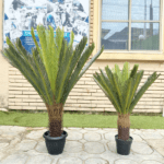 Artificial Palm Cycas Plants For Interior | Bulk Sales Of Fake Plant Nigeria - Image 4