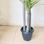 Artificial Yucca Plant For Interior Decor | Shop Fake Plants/Flowers Now - Image 3