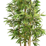 ARTIFICIAL NUDE BAMBOO PLANTS | ONLINE AND OFFLINE SALES - Image 5