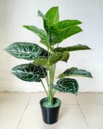 MINI TARO ARTIFICIAL PLANTS | MINI PLANT WHOLESALE  | "Buy Now" - Image 2