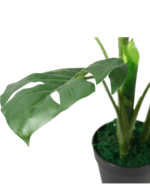 ARTIFICIAL MONSTERA PLANT FOR INDOOR/OUTDOOR DECORATON - Image 5