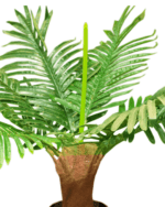 SMALL ARTIFICIAL PALM PLANTS | WHOLESALES OF DECOR PLANTS - Image 2