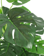 ARTIFICIAL MONSTERA PLANT FOR INDOOR/OUTDOOR DECORATON - Image 3