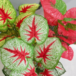 Artificial Mini Potted Plant For Interior Home Decoration – 70cm - Image 2