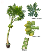 Artificial Papaya Tree For Outdoor Décor - Image 3