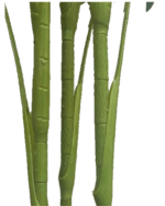 ARTIFICIAL PALM PLANTS - PERFECT PLANTS FOR HOME DECOR - Image 4