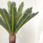 Artificial Indoor Palm Plants | Nigeria Wholesaler Of Fake Plants - Image 2