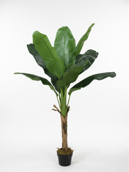 ARTIFICIAL-BANANA-PLANTS-SALE-ONLINE-PLANTS-WHOLESALES-1.png ARTIFICIAL BANANA PLANTS SALE | ONLINE PLANTS WHOLESALES - Image 1