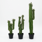ARTIFICIAL CACTUS PLANT | WHOLESALE OF FAKE PLANTS |ORDER NOW