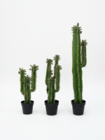 ARTIFICIAL CACTUS PLANT | WHOLESALE OF FAKE PLANTS |ORDER NOW