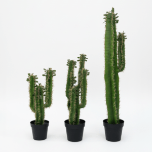 ARTIFICIAL CACTUS PLANT | WHOLESALE OF FAKE PLANTS |ORDER NOW
