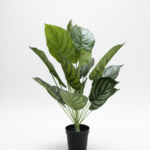 ARTIFICIAL HOUSEPLANTS | GREEN APPLE PLANTS | "Buy Now"