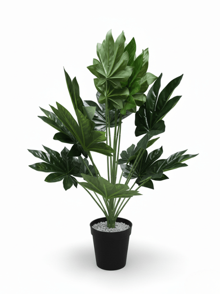 ARTIFICIAL-JAPANESE-FATSIA-PLANTS-PLANTS-SALES-ORDER-NOW.png ARTIFICIAL JAPANESE FATSIA PLANTS | PLANTS SALES | ORDER NOW - Image 1