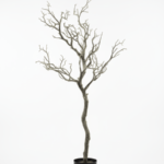 ARTIFICIAL PLANTS AND TREE |BUY DRIED TREE ONLINE IN NIGERIA