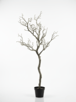 ARTIFICIAL PLANTS AND TREE |BUY DRIED TREE ONLINE IN NIGERIA