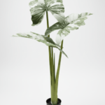 Artificial Alocacia Plant 165cm Green – 3 Trunks with Cement Potting Vase