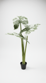 Artificial Alocacia Plant 165cm Green – 3 Trunks with Cement Potting Vase