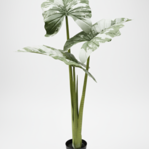 Artificial Alocacia Plant 165cm Green – 3 Trunks with Cement Potting Vase