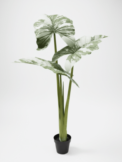 Artificial Alocacia Plant 165cm Green – 3 Trunks with Cement Potting Vase