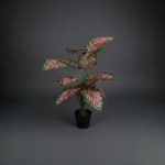 Premium Artificial Angel Wings Plant in Plastic Pot – 75cm Indoor Greenery