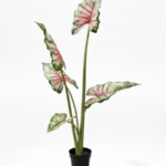 Artificial Angel Wings Tree 145cm Pink – 5 Branches and Leaves with Plastic Pot